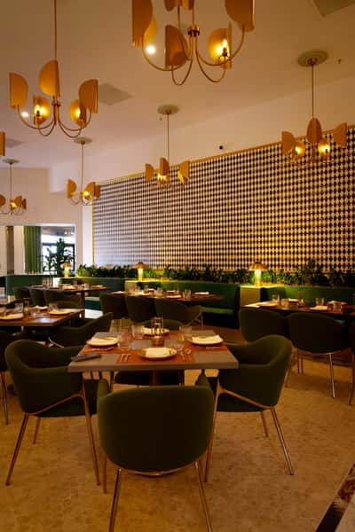 Pippal dublin ambiance