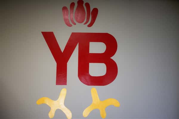 YB