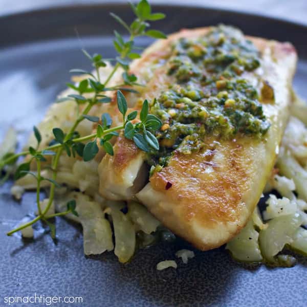 Gulf Snapper