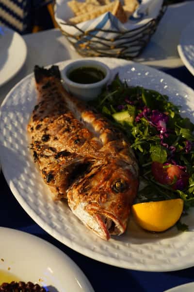 Fish dish