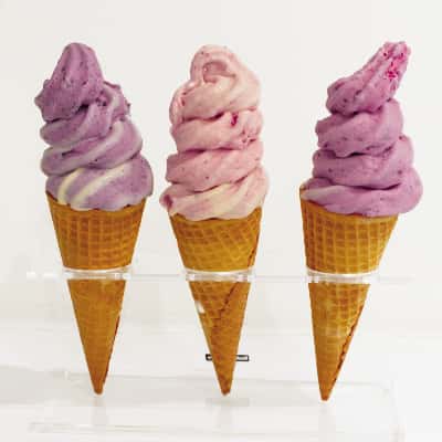 New Zealand Real Fruit Ice-cream