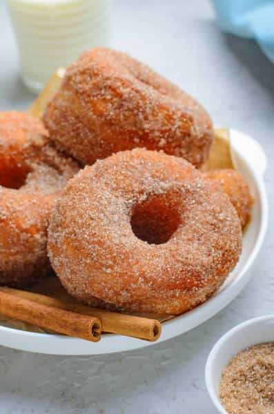 Donut - In Cinnamon Sugar