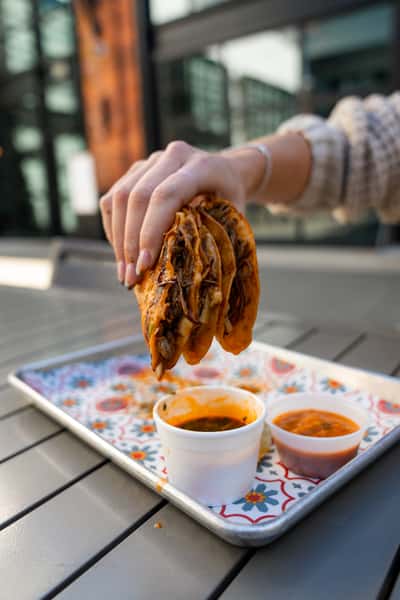 quesatacos birria tacos