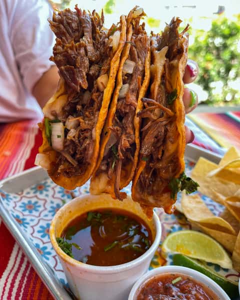 quesatacos