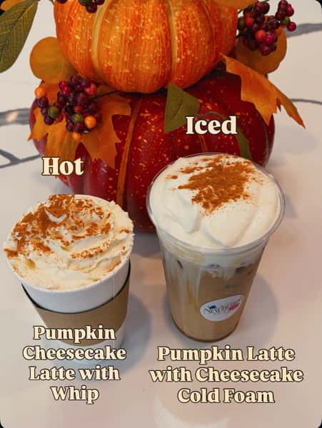 PUMPKIN IS OFFICIALLY HERE 🍁🎃 Try our Pumpkin donuts, scones and muffins & a Pumpkin Cheesecake latte to go with it! 

#NewberryCafeandBakery #BelAirMD #HarfordCounty #Pumpkin #fallvibes