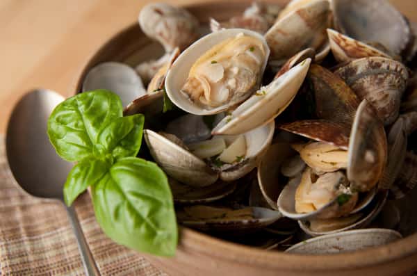 steamed little neck clams with basil