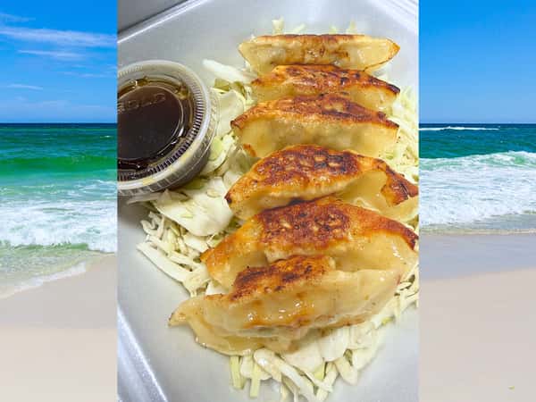 Gyoza (6)