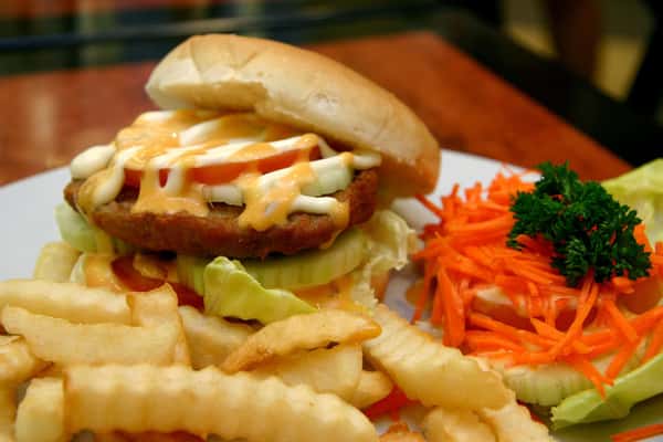 Burger on a plate with carrot slices and fries