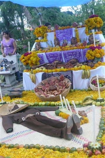 assorted day of the dead decorations