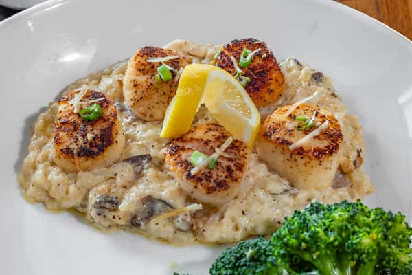 Scallops
