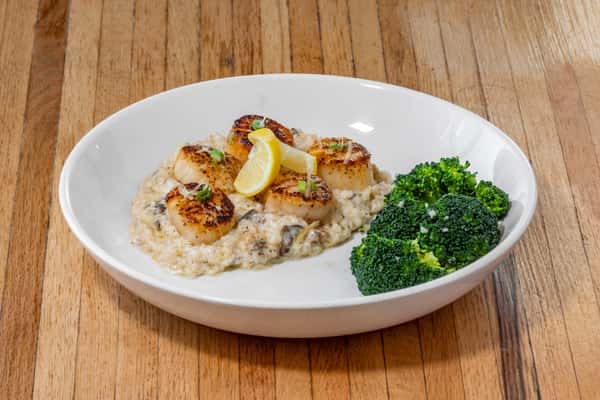 Scallops