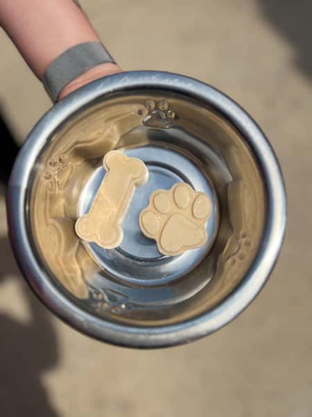 Dog Ice Cream