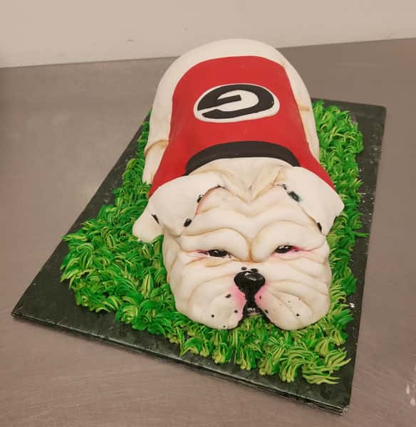 UGA cake
