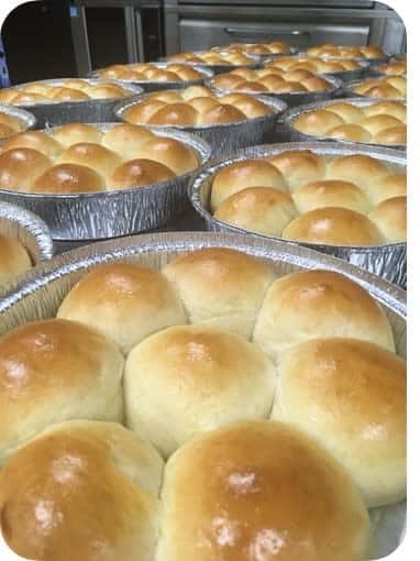 Dinner Rolls