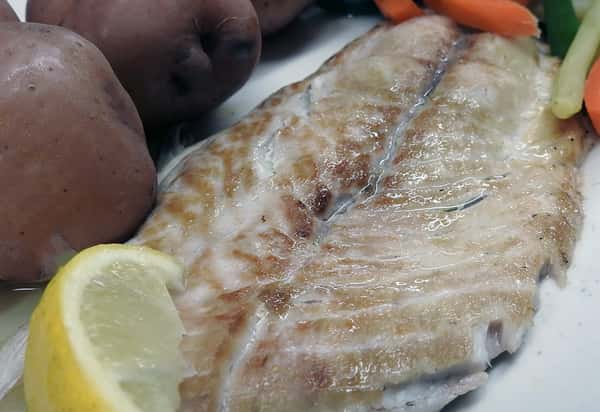 Fresh Broiled Bluefish Filet