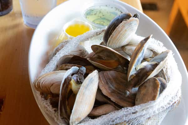 Fresh Maine Steamers