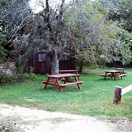 1979 Picnic Area