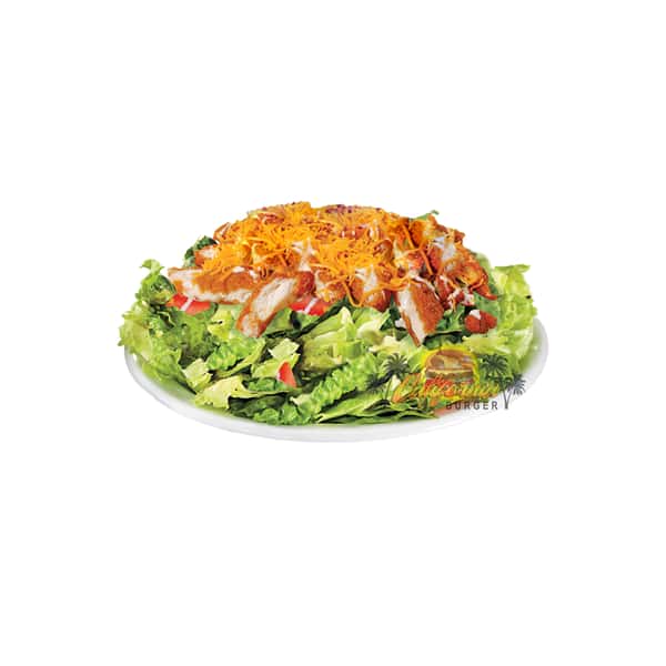 Crispy Chicken Salad