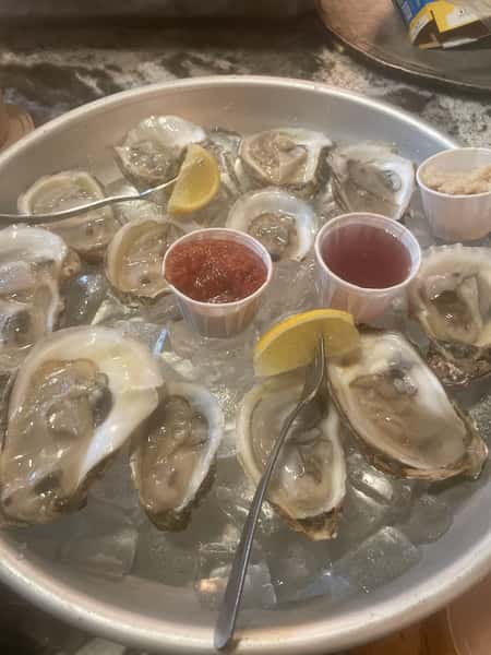 Oysters