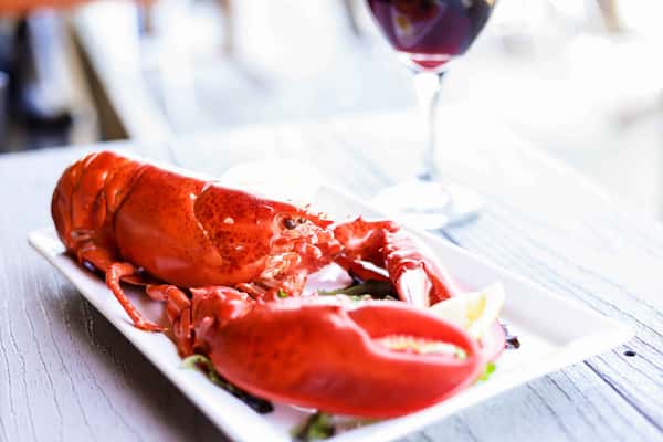 Steamed Lobster