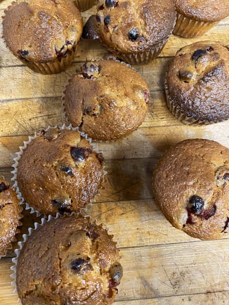 muffins
