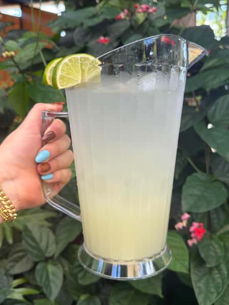 Margarita Pitcher