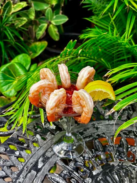 Shrimp Cocktail
