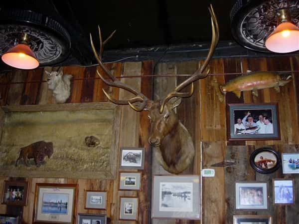 Photos Lardos Grill & Saloon Bar & Grill in McCall, ID