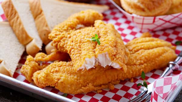 Catfish