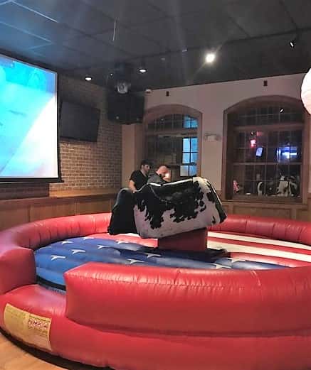 bull6