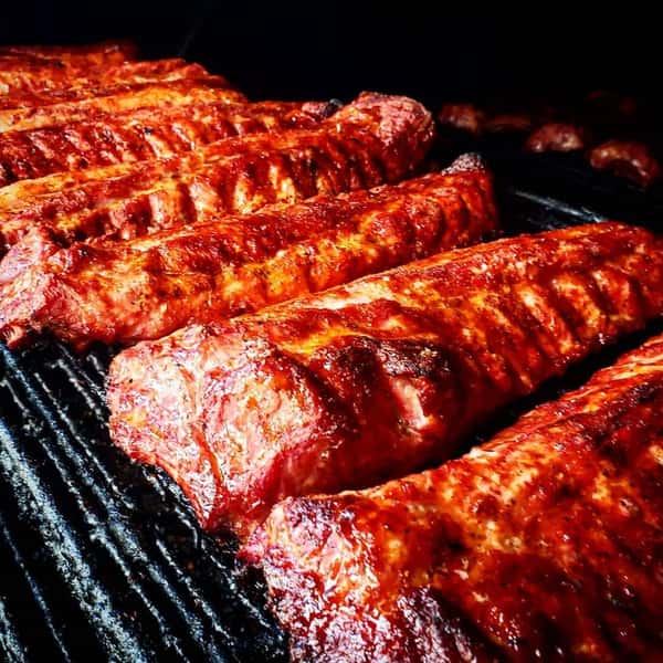 RIBS