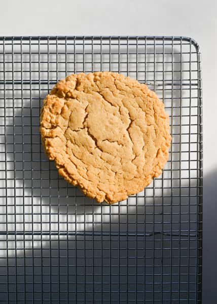 Peanut Butter Cookie