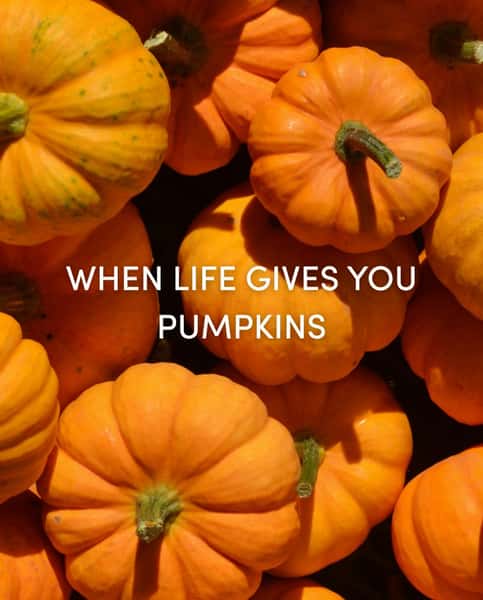 When life gives you pumpkins, espresso, ladyfingers and strawberries… voilà: Pumpkin Tiramisu Pancakes.