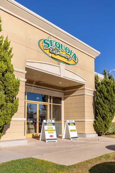 Exterior of Sequoia Brewing Company location with clear signage above the entrance, sidewalk signs announcing open status, and flanked by trimmed evergreens under a bright blue sky.
