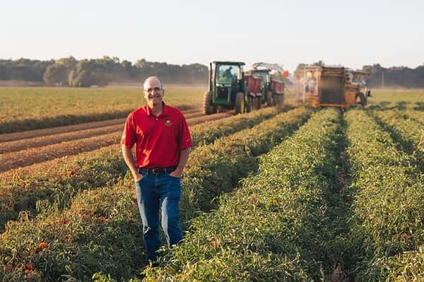 Stanislaus Tomatoes