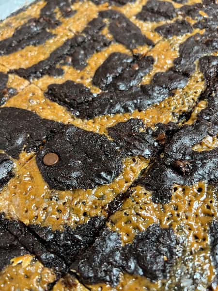 Turtle Brownie