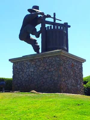 napa valley crush