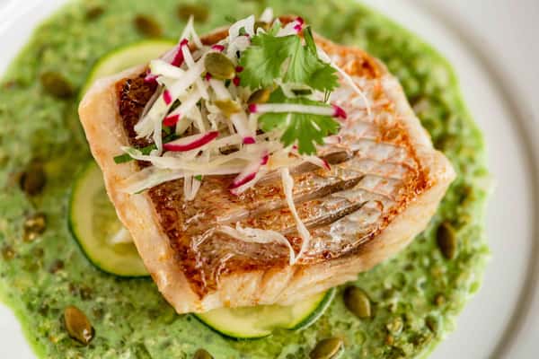 snapper
