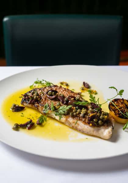Grilled Fillet Gulf Red Snapper