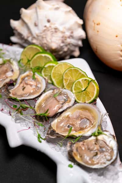 Oysters