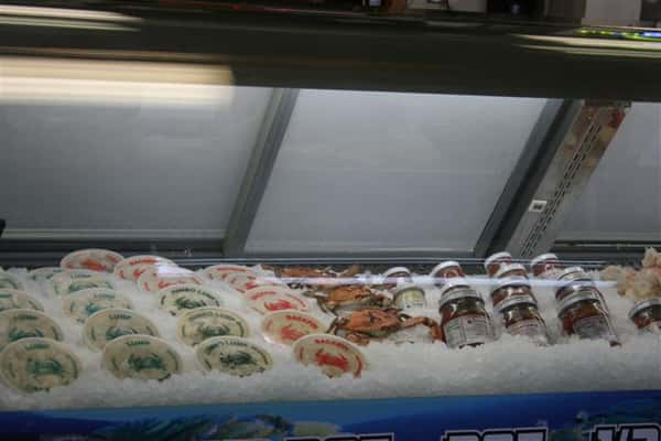 seafood freezer case