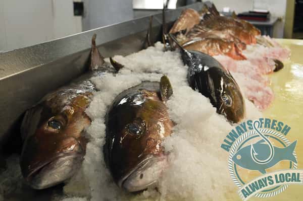 fresh fish