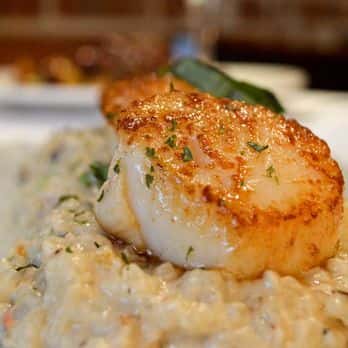 Scallops Risotto