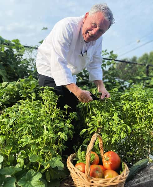 chef picking veggies