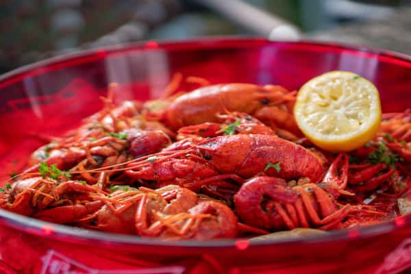 Crawfish