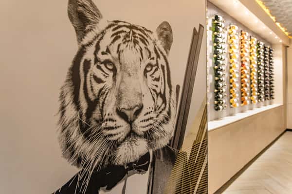 interior with tiger mural