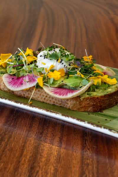 Avocado Toast