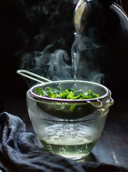 Fresh Mint Tea