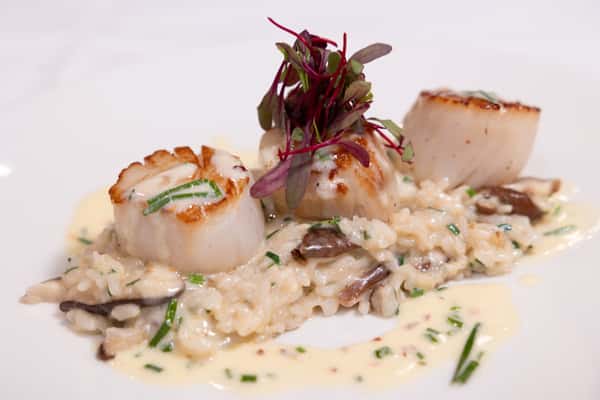 Panneed Dry Scallops