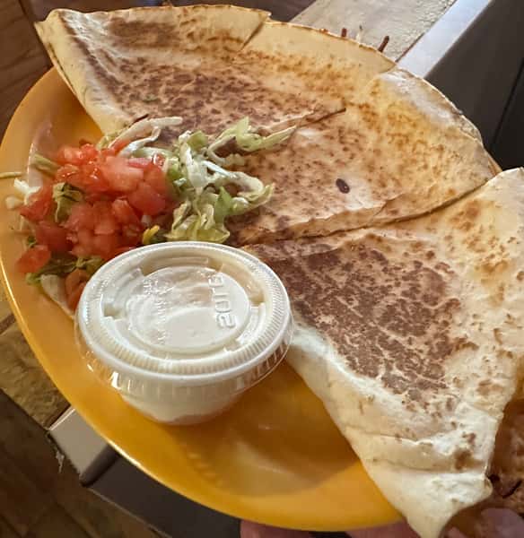 Cheese and Chicken Quesadilla